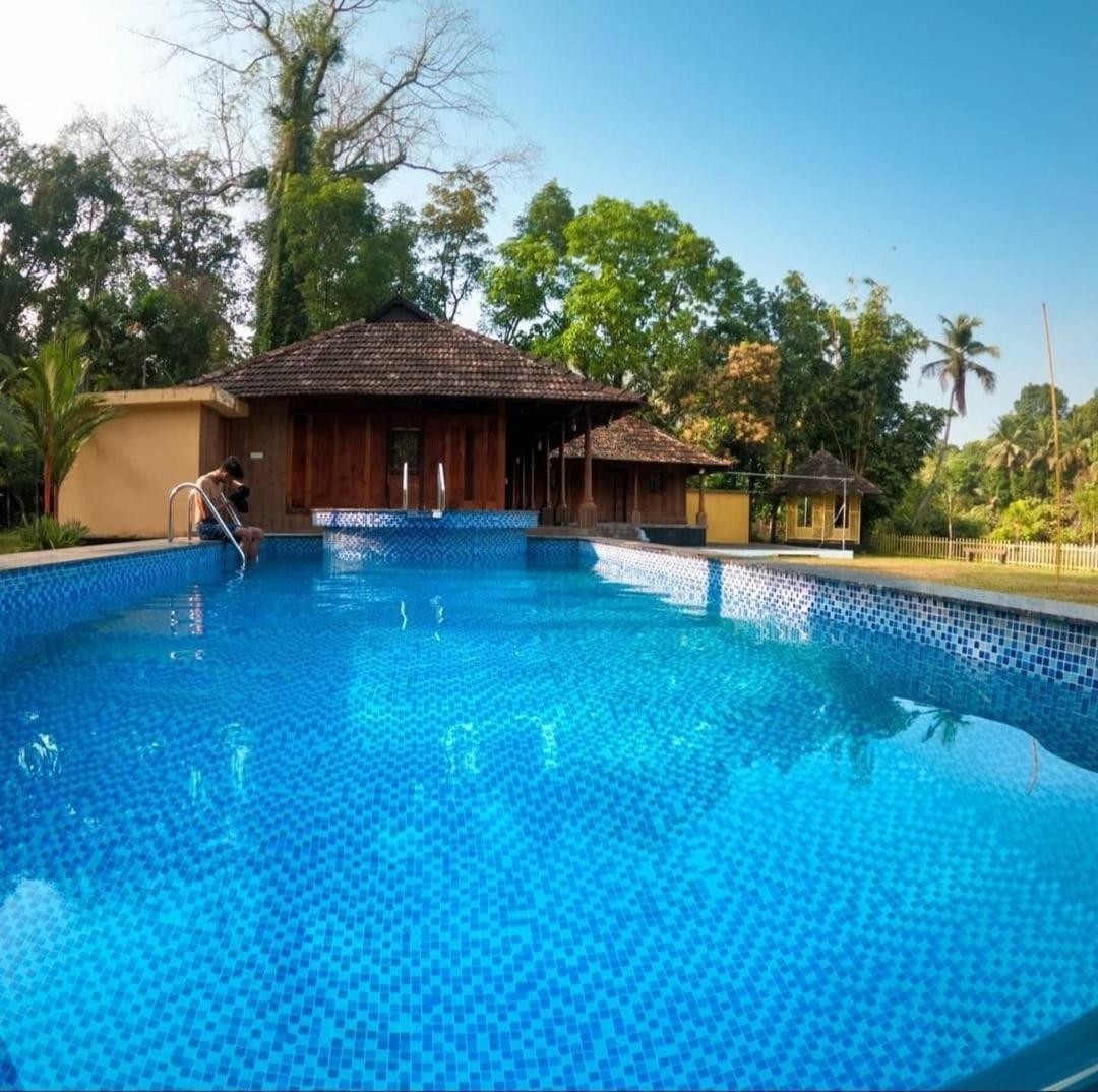 Sparrow Vale Resort Kotamangalam Exterior photo